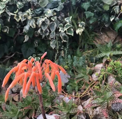 Barabarca Σπίτι διακοπών