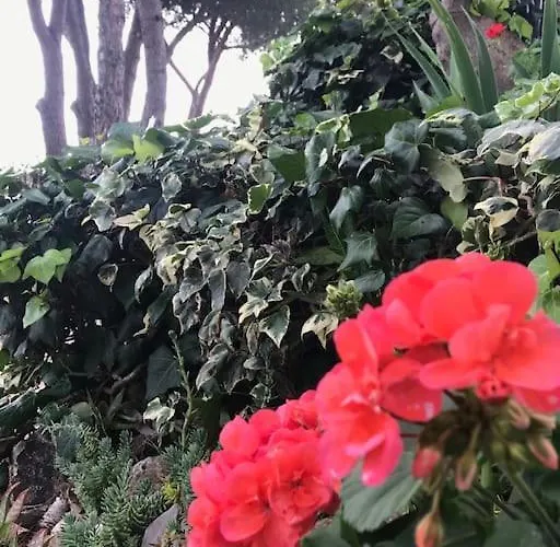 Barabarca Σπίτι διακοπών Capoliveri (Isola d'Elba)