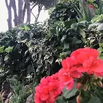 Barabarca Vakantiehuis Capoliveri (Isola d'Elba)