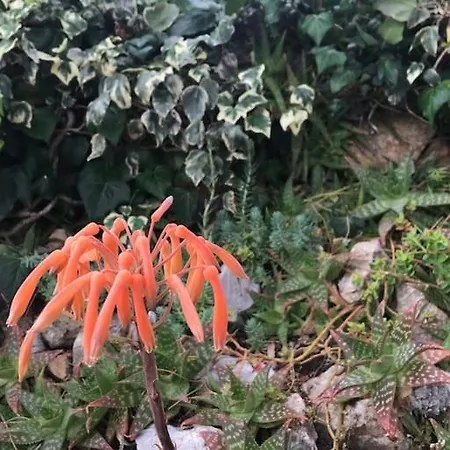 Barabarca Casa vacanze