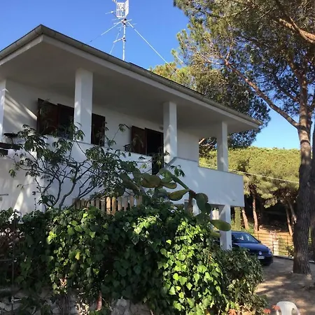 Barabarca