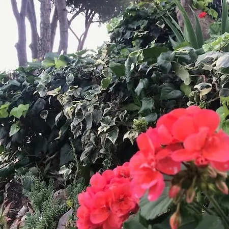 Barabarca Feriehus Capoliveri (Isola d'Elba)